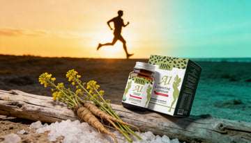 L-Carnitine Science: Why Only 16 Ingredients Actually Torch Fat in 2026