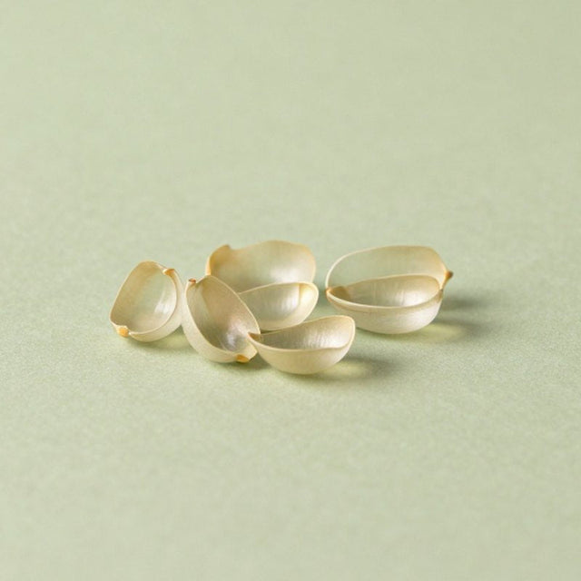 Capsule Shell