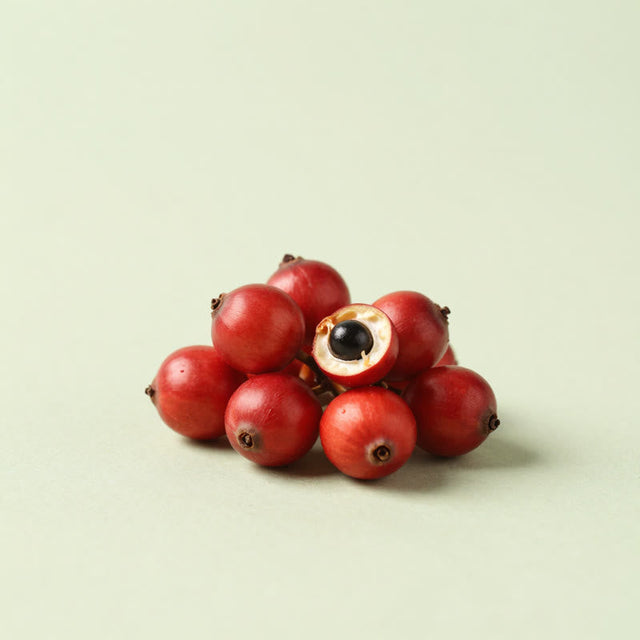 Fruto de guaraná