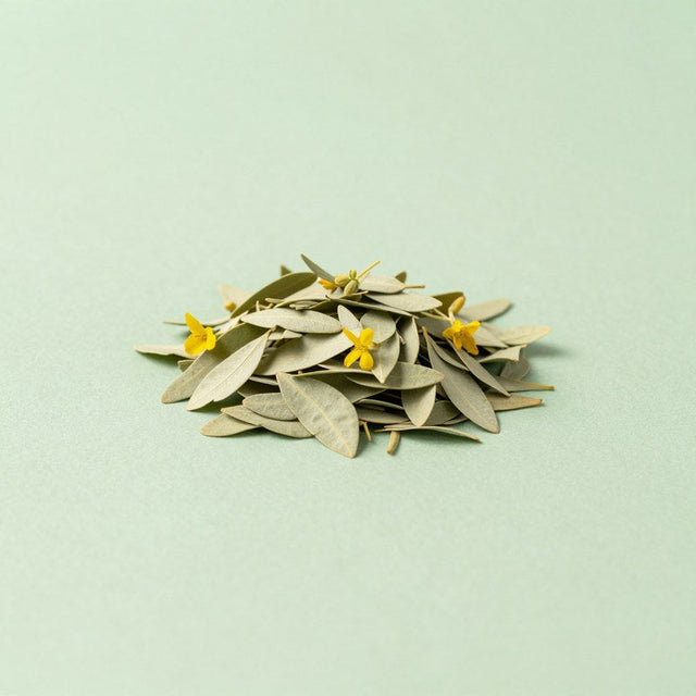 Senna Leaf