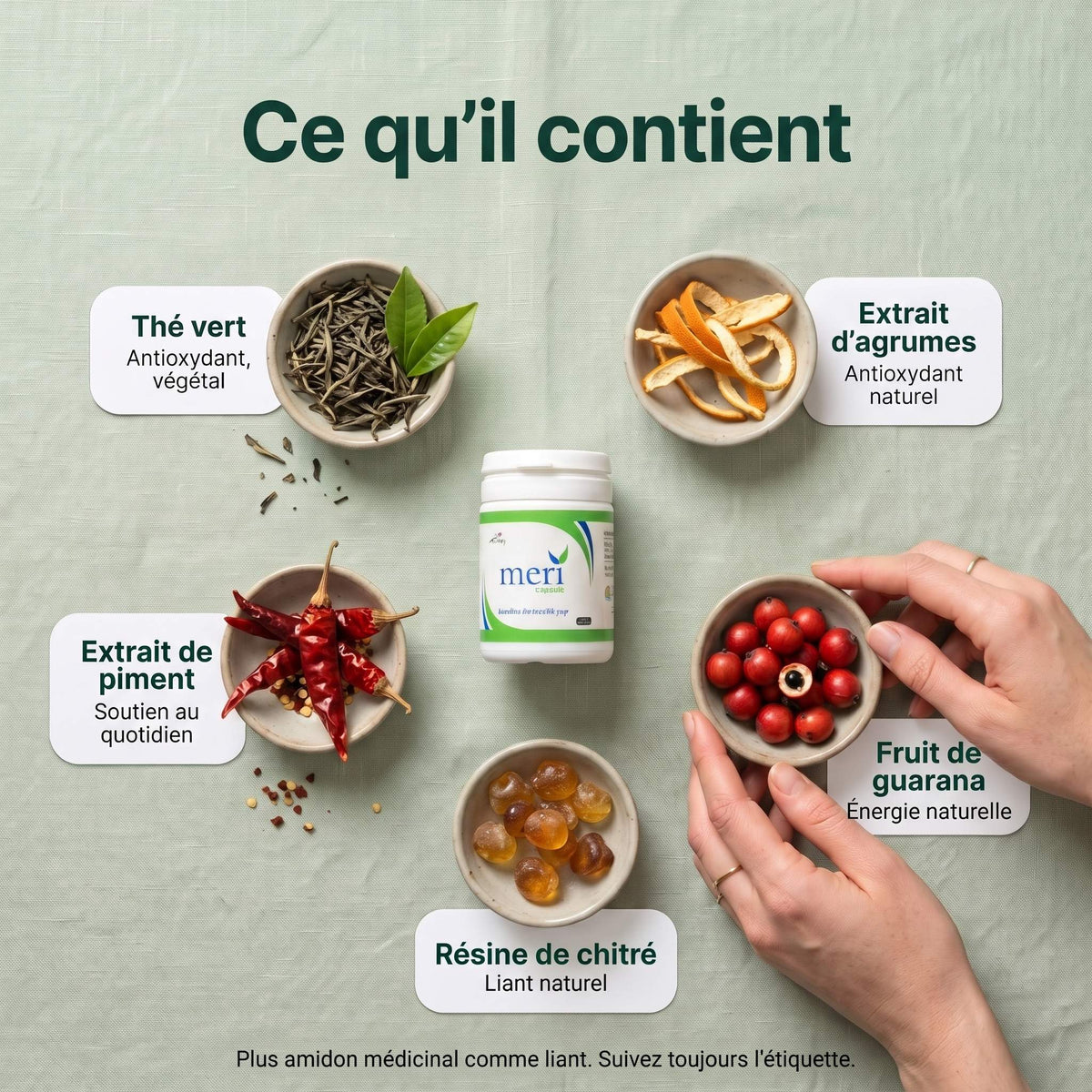 Meri Detox Gélule : ce qu'elle contient
